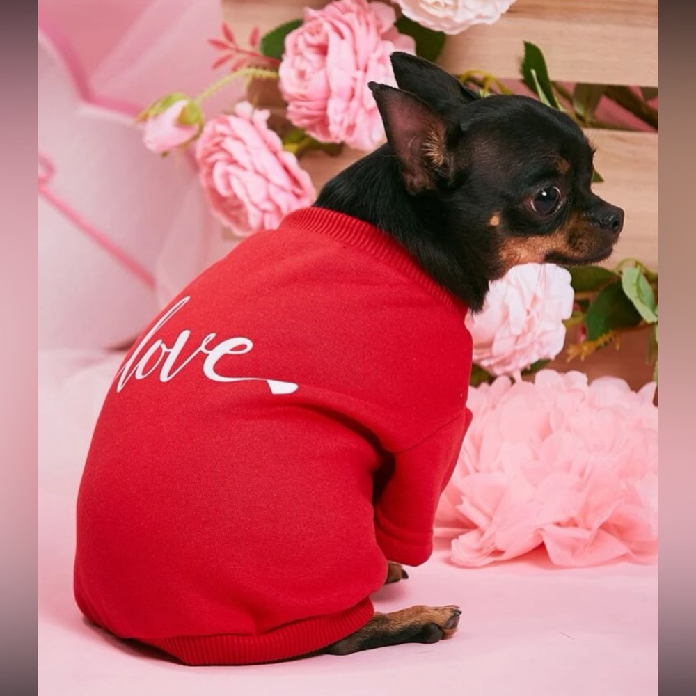 ✅✅ pet sweatshirt